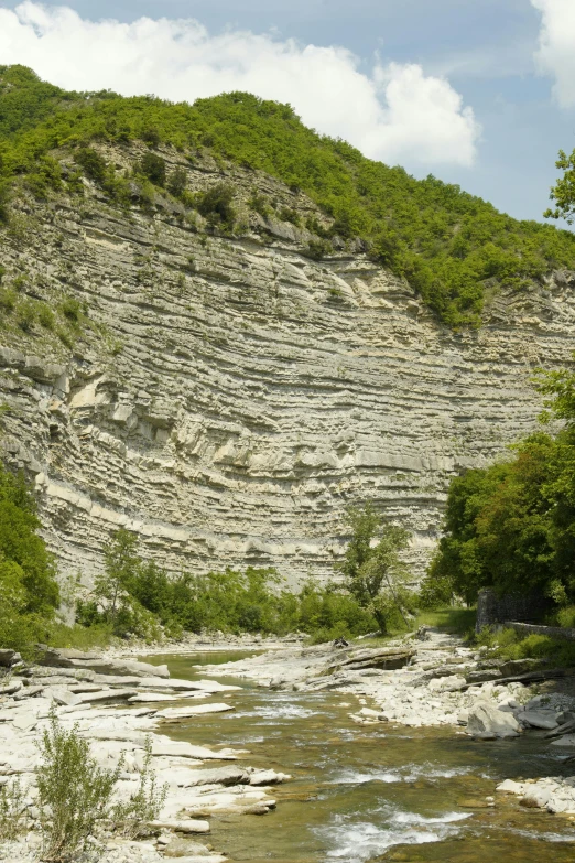 a stream flowing through a canyon under a rocky face