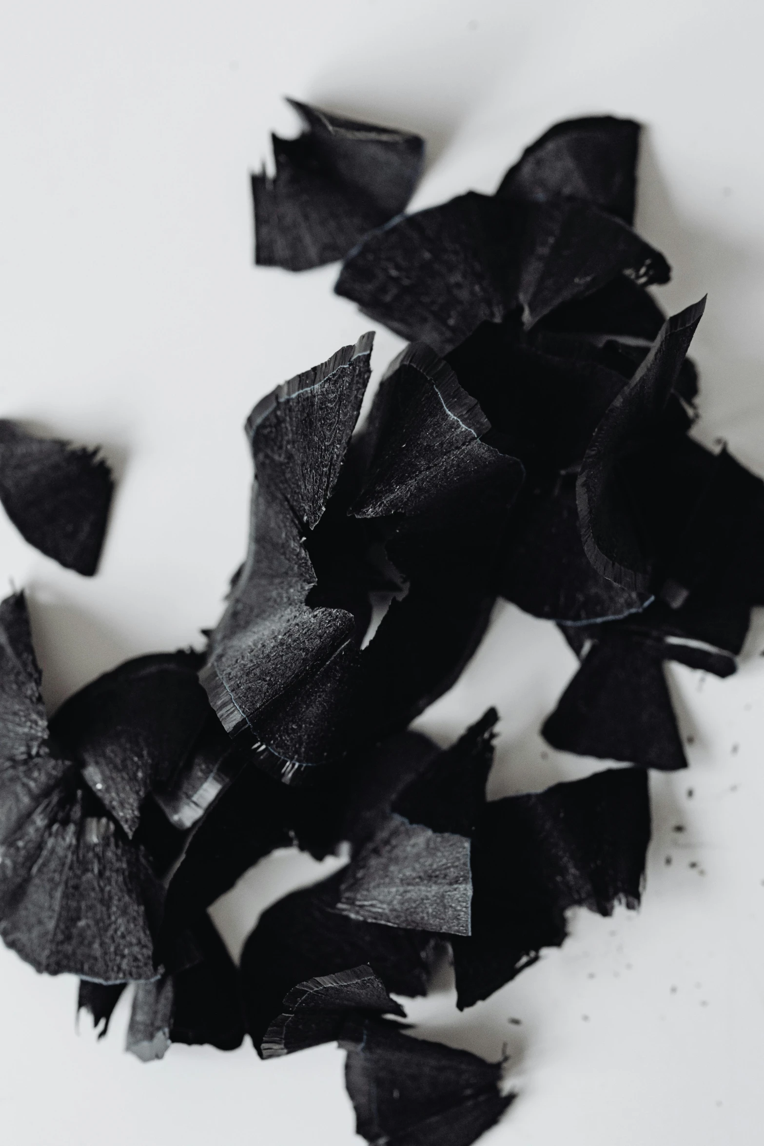 black leaves scattered over white paper in the wind