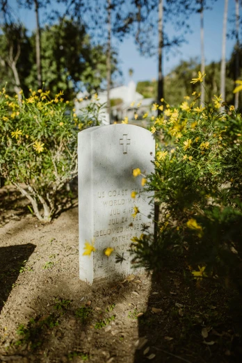 a white memorial with yellow flowers in the park