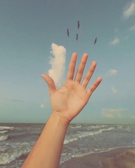 the hand of a person reaching out to birds flying in the air
