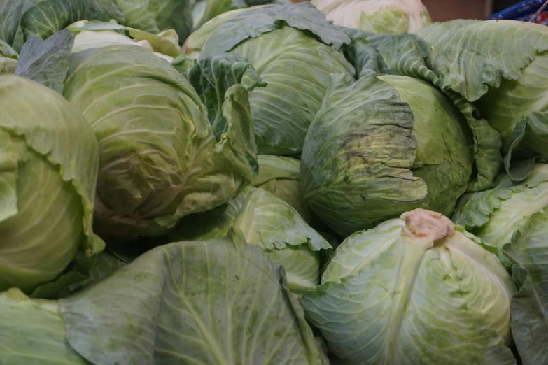 several heads of green lettuce on display in market