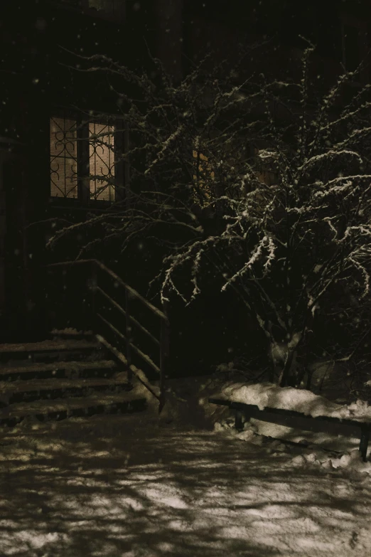 a house and steps in the snow