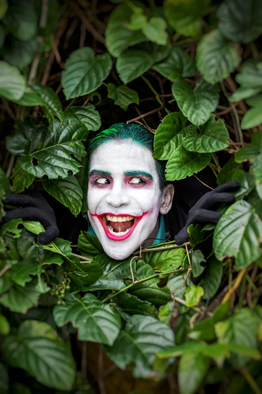 the man is painted like a joker sitting in the foliage