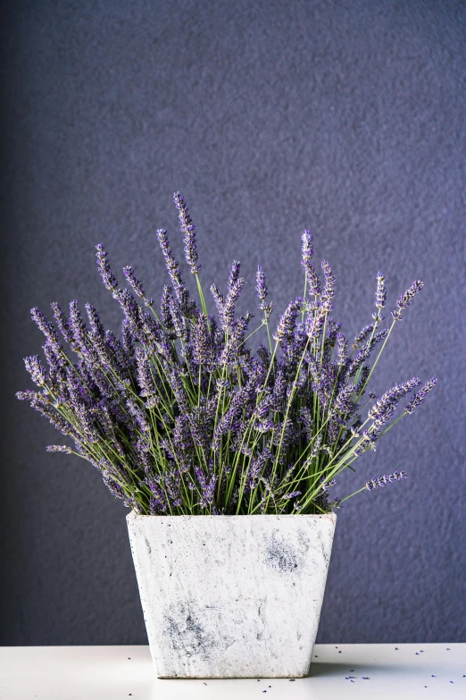 a small gray vase filled with lots of flowers