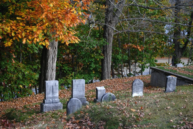 a grassy area with several headstones and trees