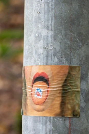 an image of a sticker on a tree