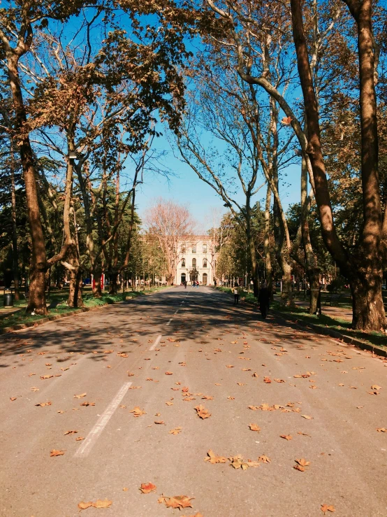 leaves lay in a deserted road near an old building