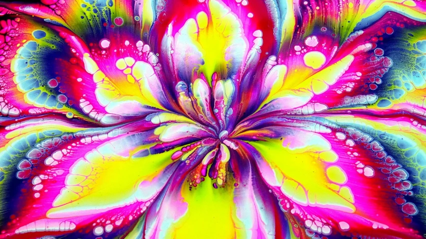 a flower with multicolored petals is shown in this painting