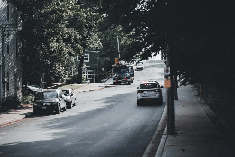 two cars driving down a street lined with trees