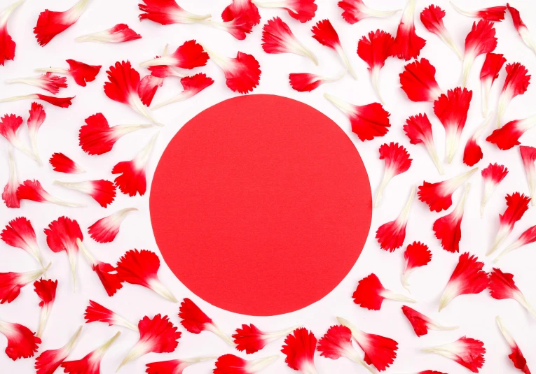 red and white flowers sitting on top of a white table