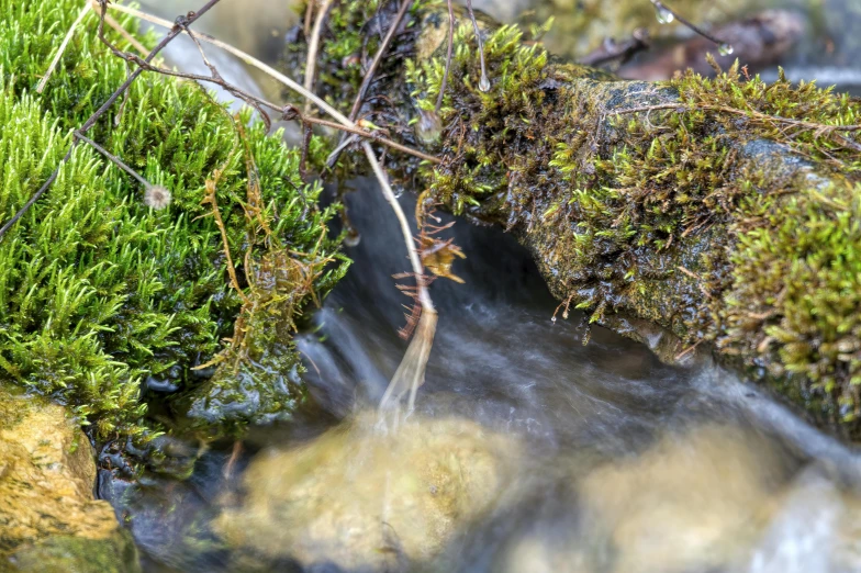 a stream running through some grass in a field