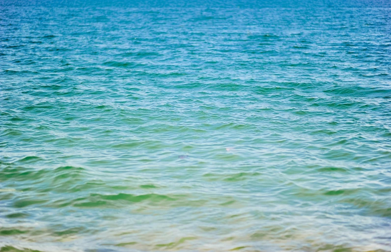 an empty beach and a wave in the water