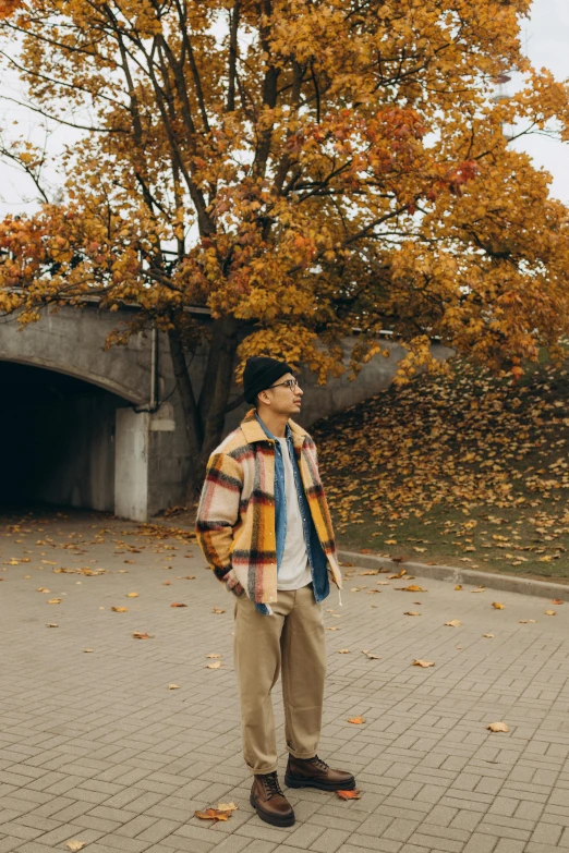 a man stands on a road next to a tree with yellow leaves