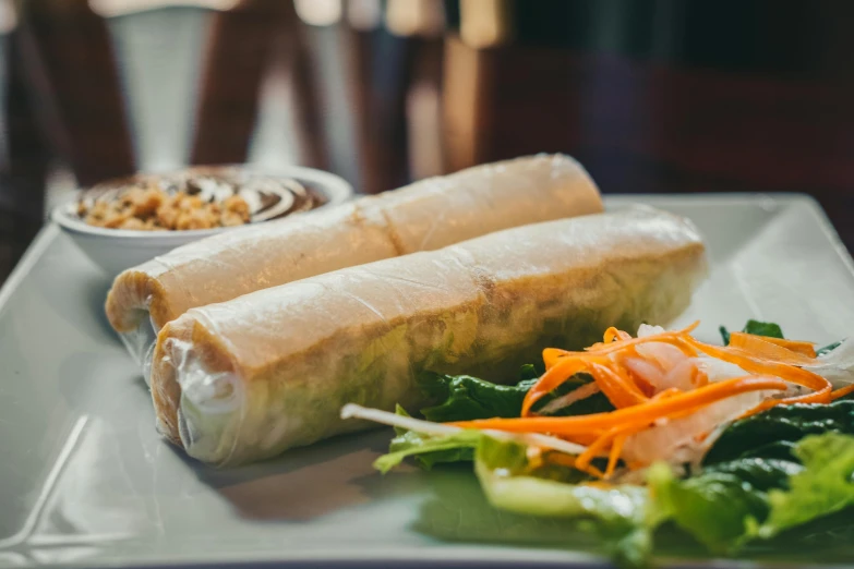 a plate topped with two wrapped sandwiches and salad