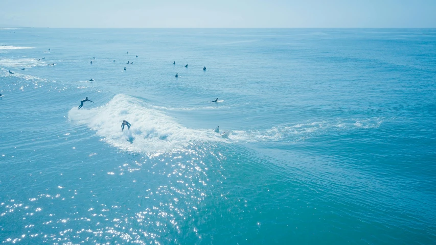 surfers are surfing on the ocean, and their boarders in the water