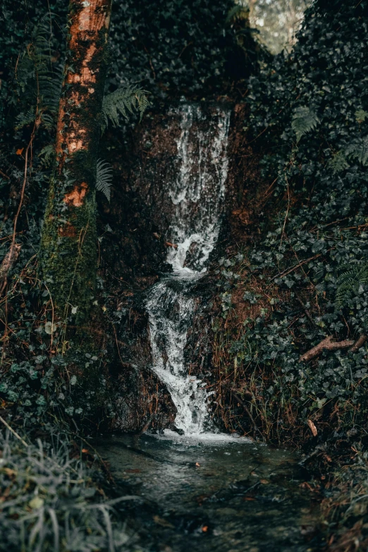 a large waterfall next to trees with water casing down