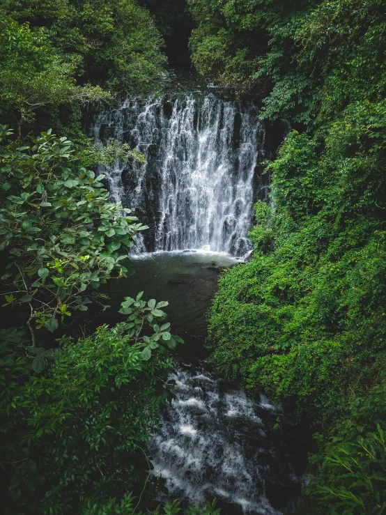 water cascading through trees at the edge of a river