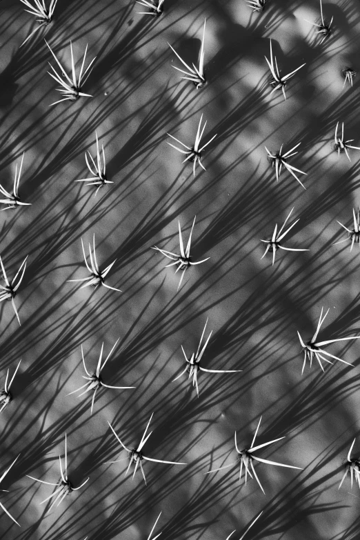 multiple spikes of different size on an abstract surface