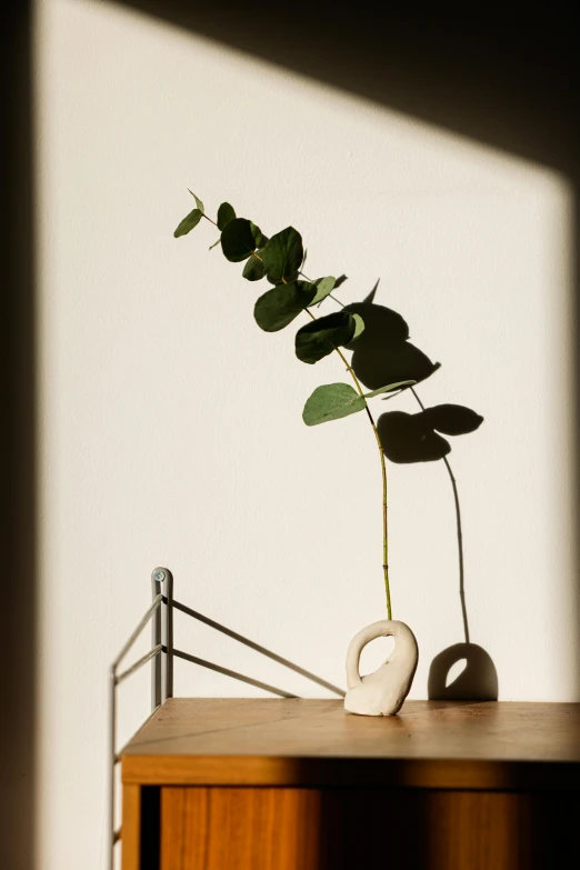 a plant in a vase sitting on a table