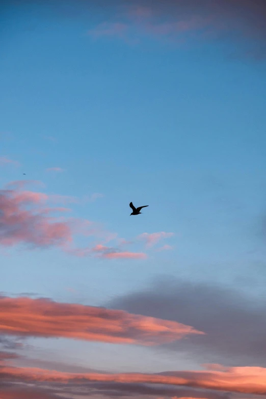 an airplane is flying through the sky at dusk