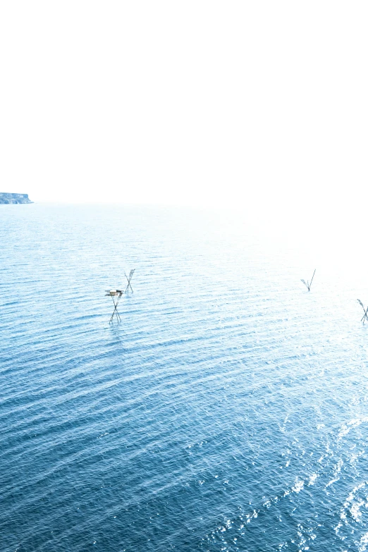 a group of birds flying over the ocean