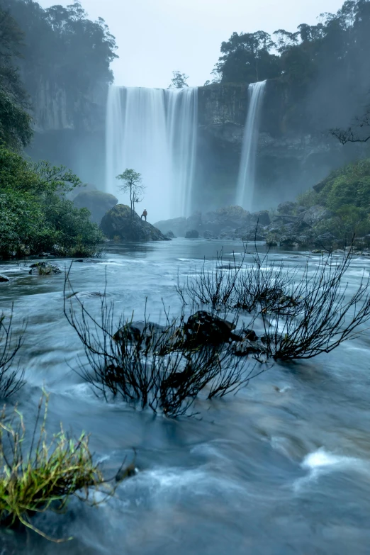 the falls and trees on a misty day