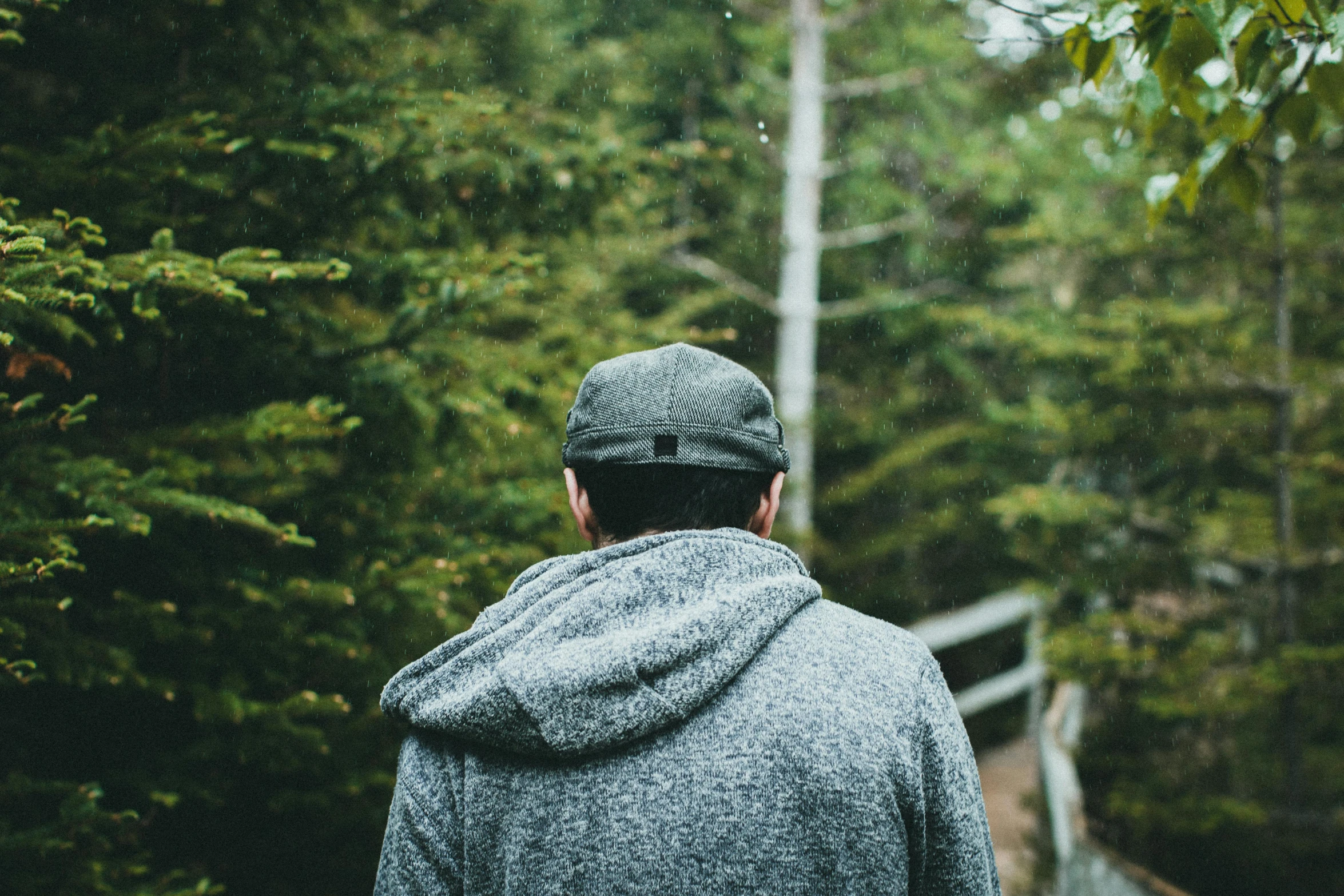 a man standing on a bridge in a forest looking back