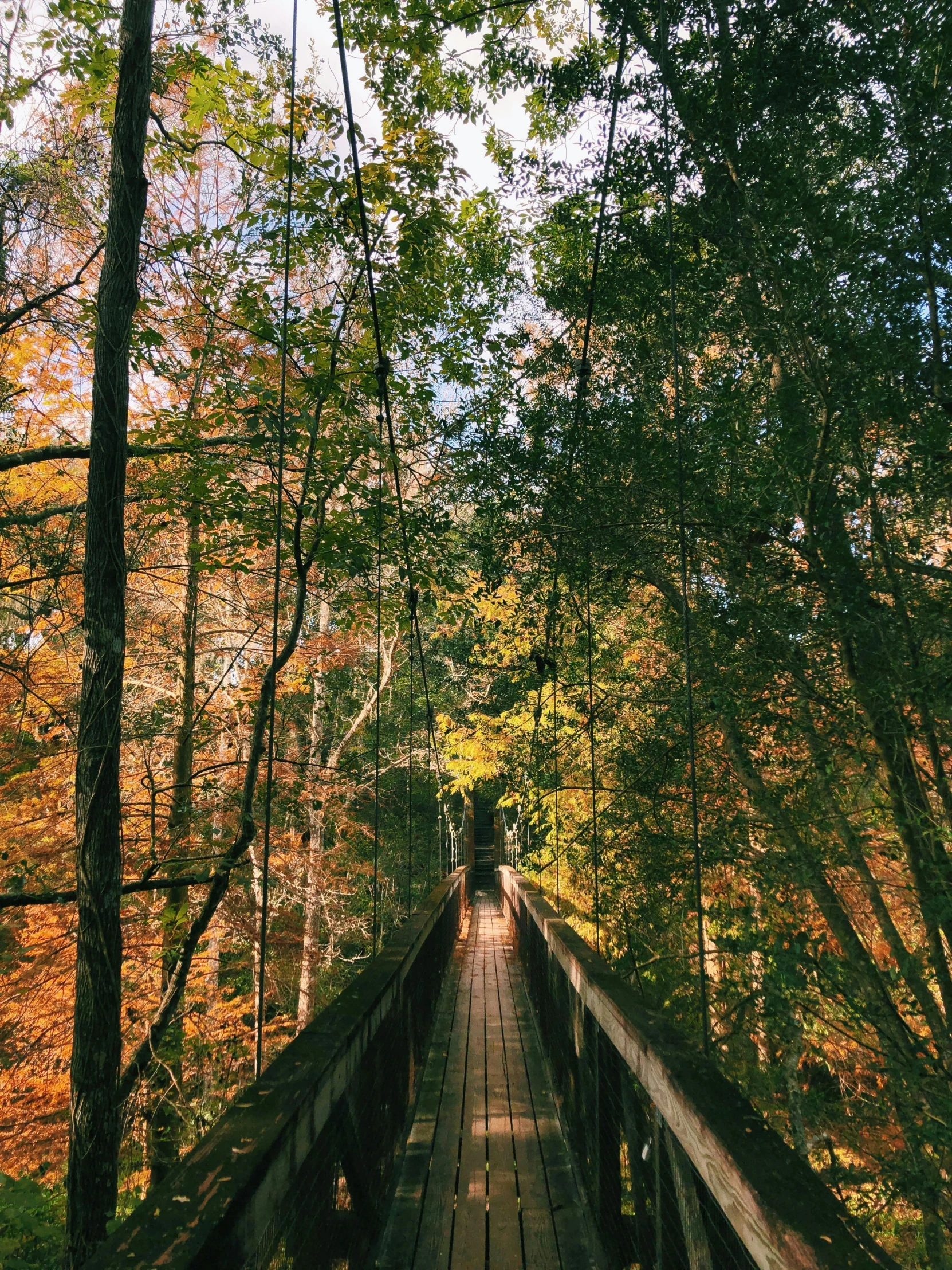 a man walks on the bridge over a stream