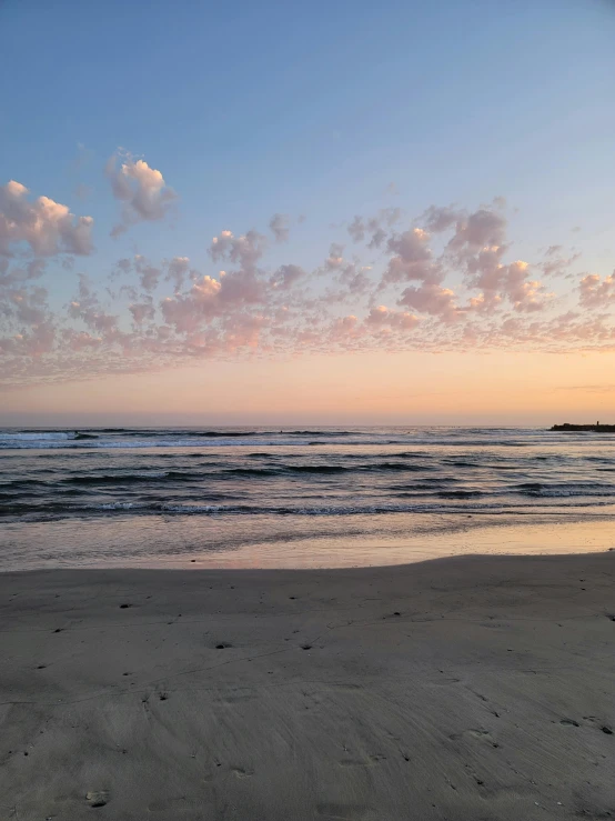 an ocean beach with waves and a lone bird