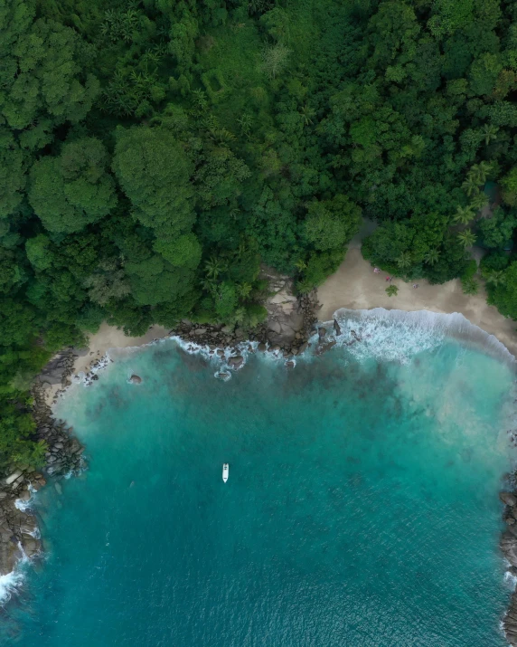 an aerial view of the trees and beach next to the ocean