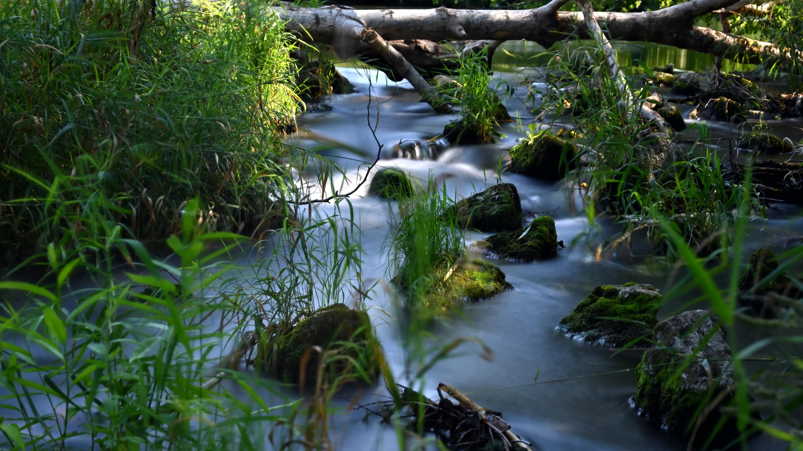 water running through a lush green field filled with grass