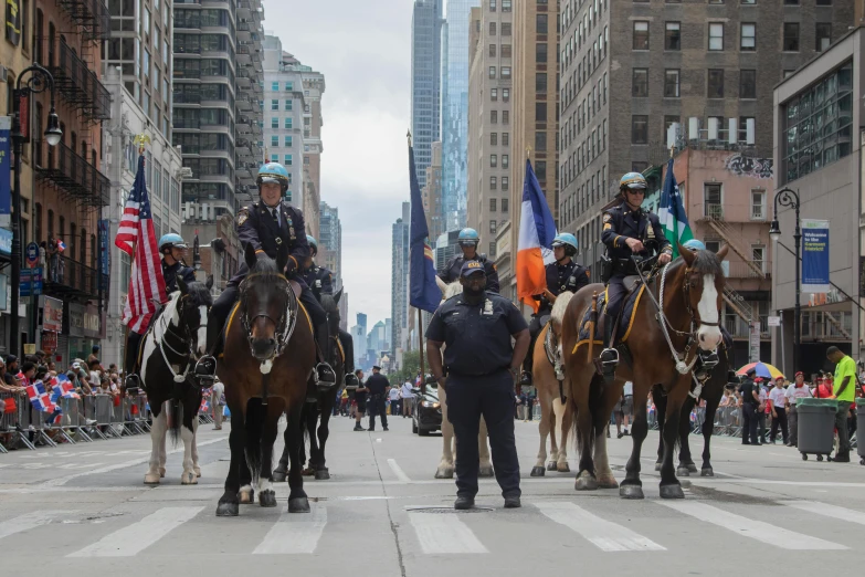 police horses on a city street with people in the distance