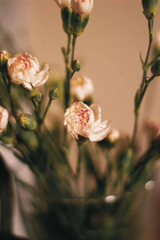 a bunch of flowers sitting in front of a white wall