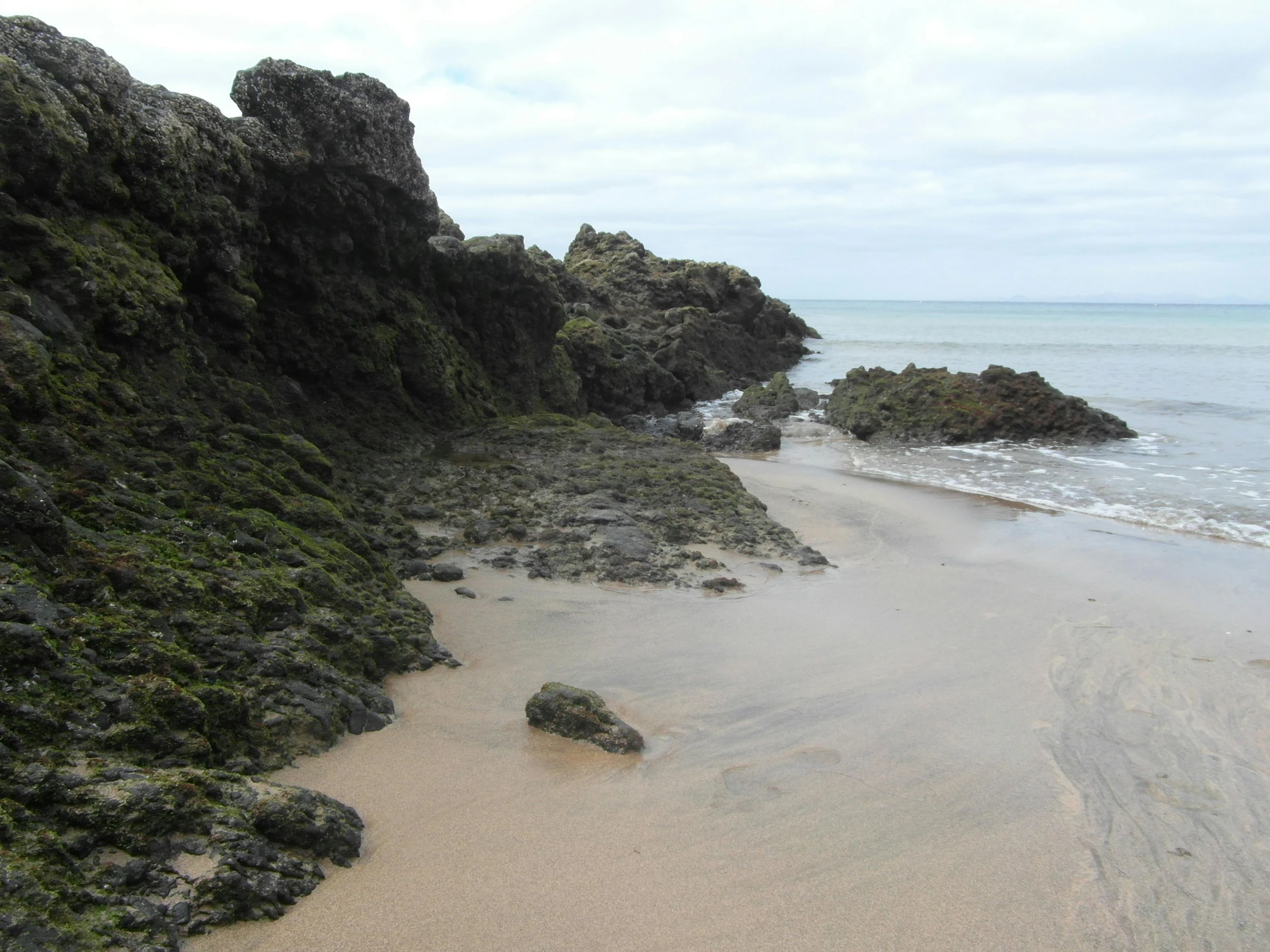 the beach has rocks and algae growing on it