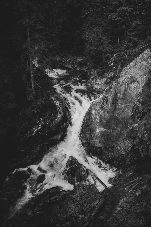 stream flowing through dark woods with rocks and trees