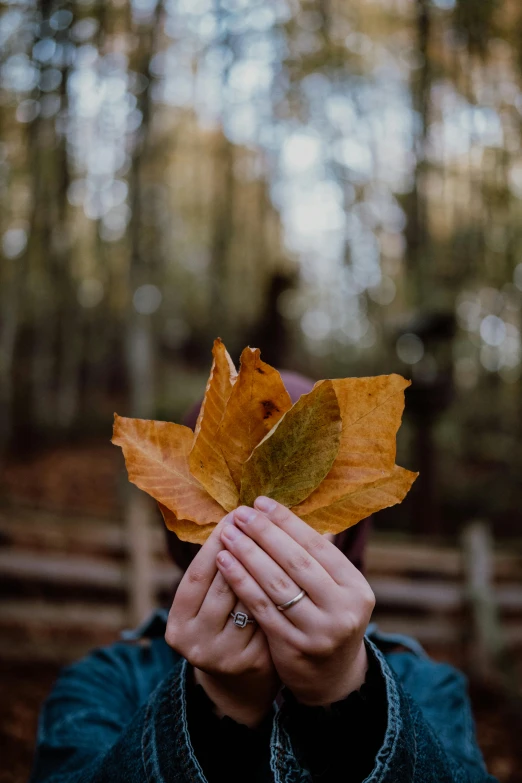 a person holding a leaf over their eyes in the woods