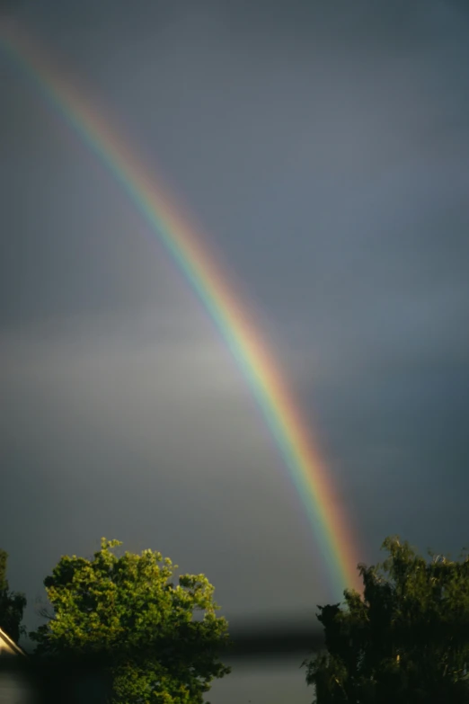 a beautiful rainbow arches over a treetop as it sets in a sky