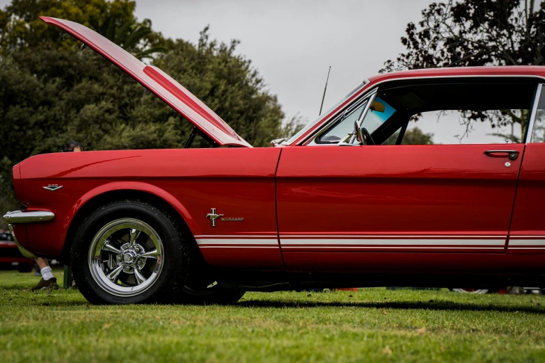 an older mustang muscle car is parked on the grass