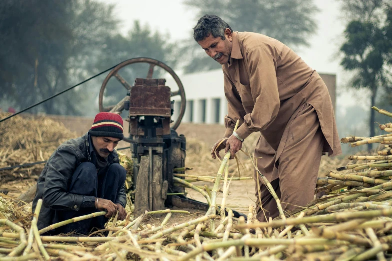 two men look over their crops at soing