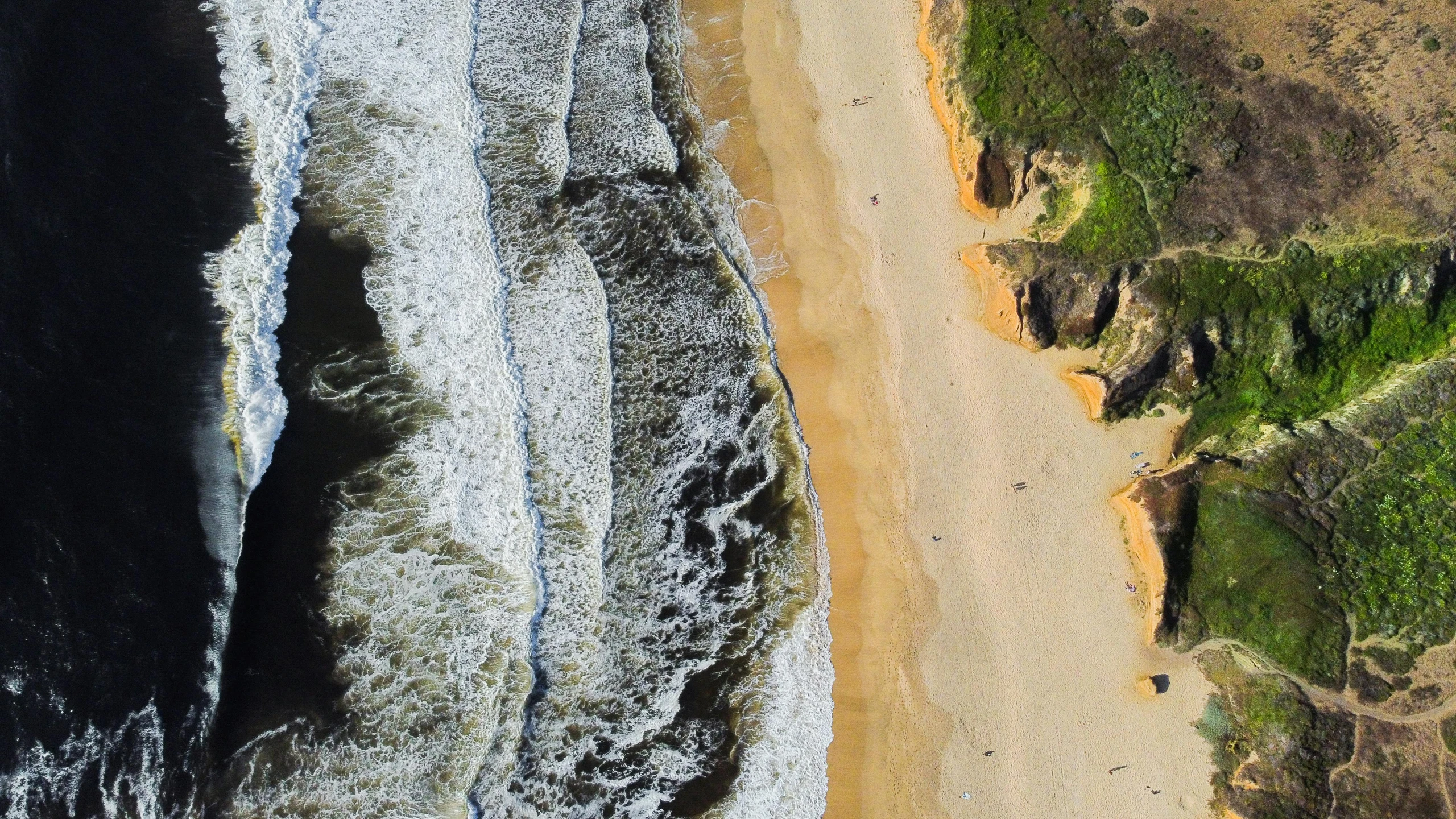 a bird - eye view of a sandy beach and forested coastline