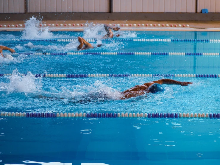 swimmers in the water with their back 