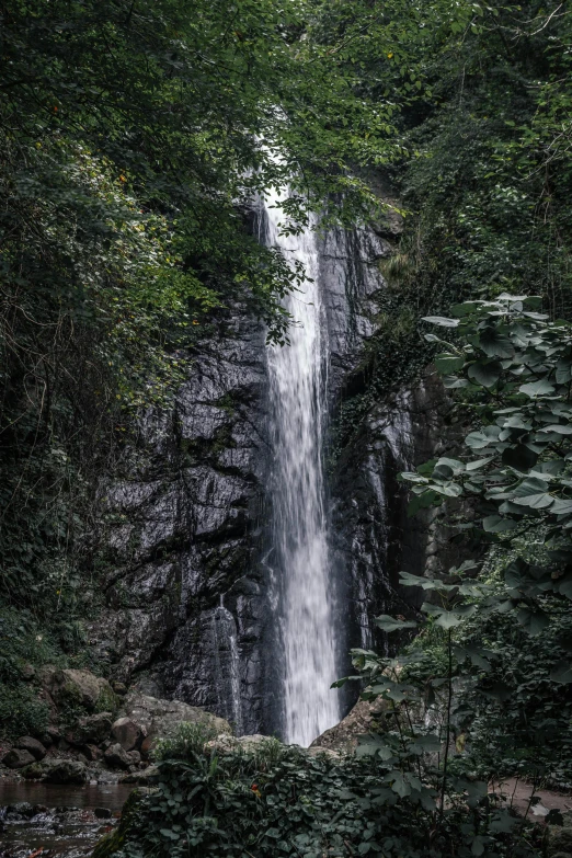 a large waterfall in the middle of a jungle