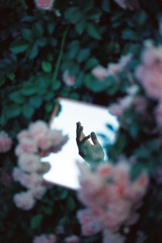 a small bird flying among some pink flowers