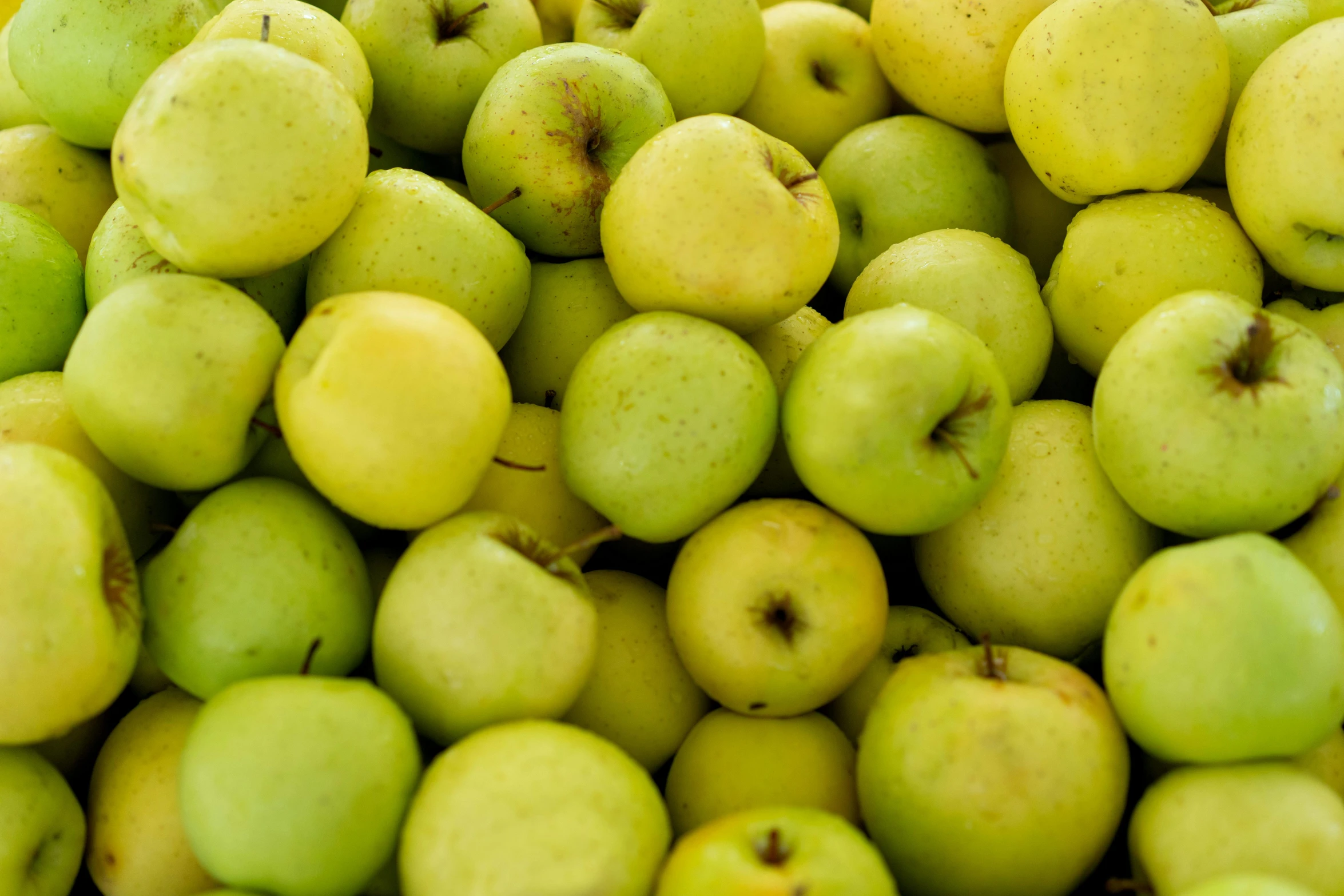 a lot of green and yellow apples stacked up