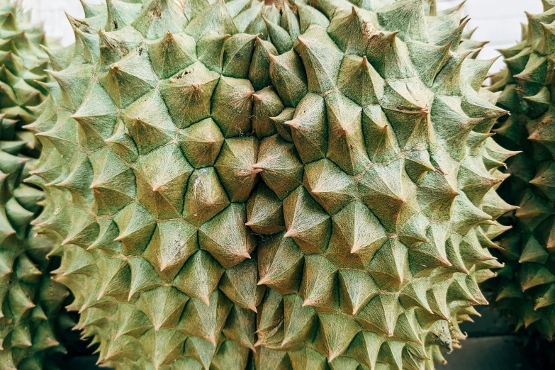 close up s of two green fruit like plants