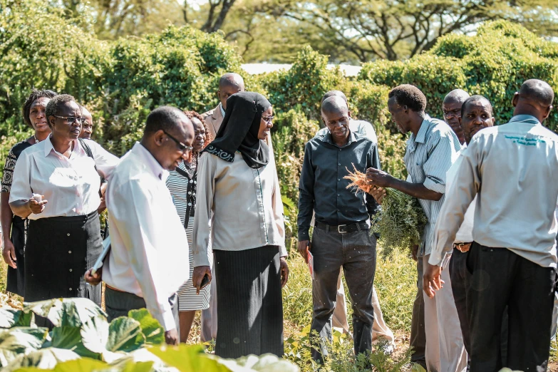 people gather in the field to look at soing