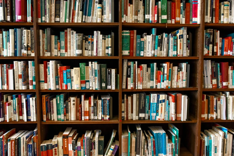 a long wooden shelf filled with lots of books