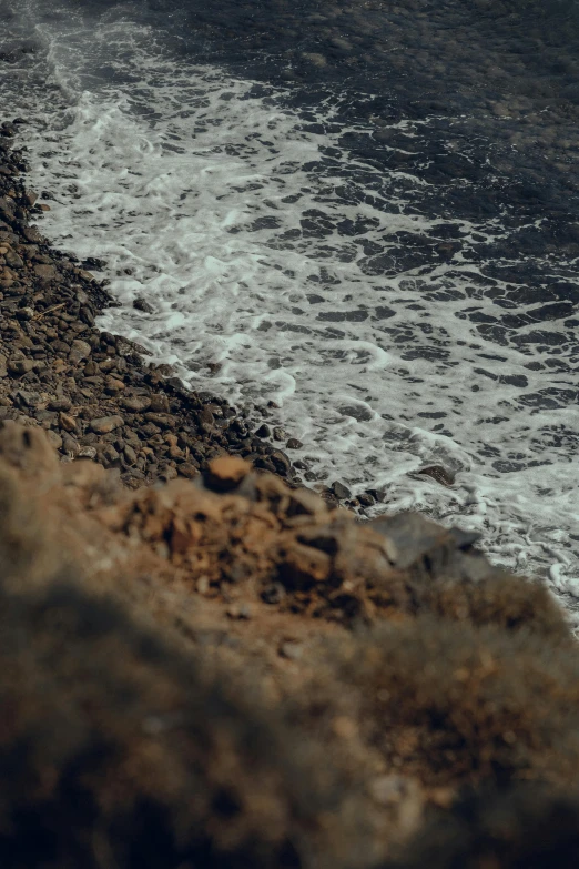 a white bird is standing on a rocky shoreline