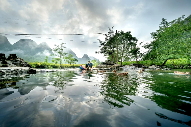 a person paddling down a river, and some trees in the distance