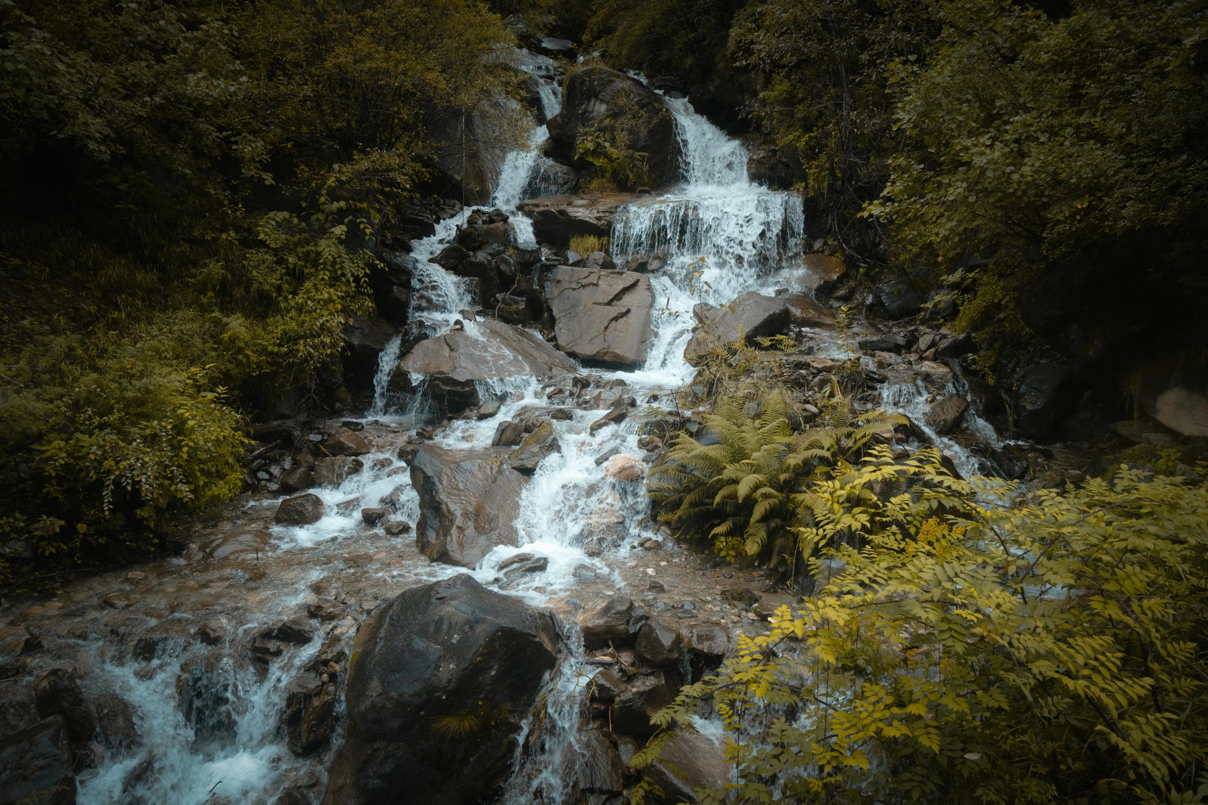 a small waterfall is seen in the middle of the woods